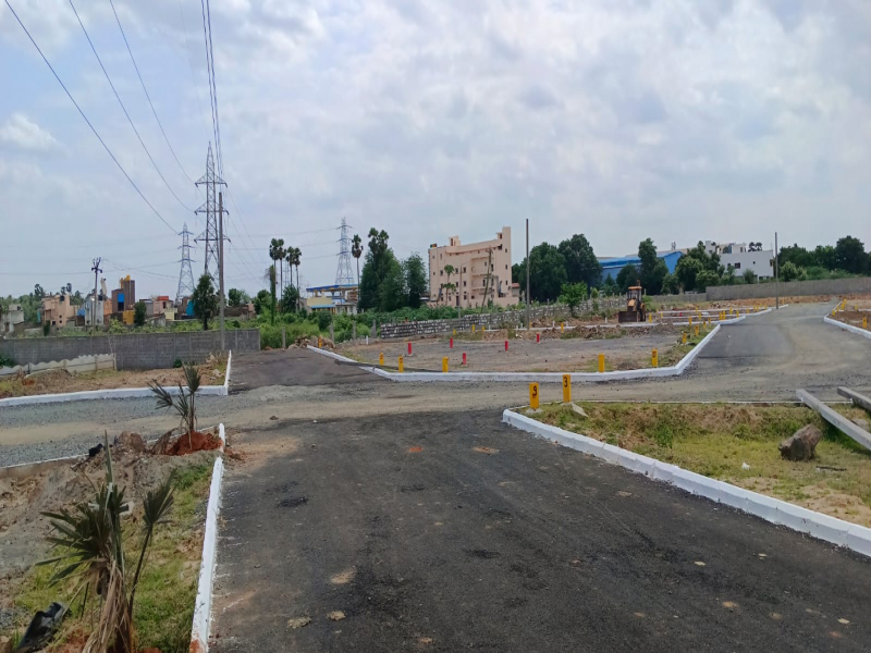 Sameera_New_Blossom_3