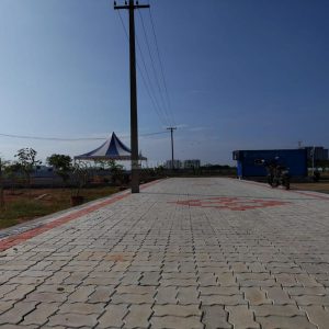 1000015557
